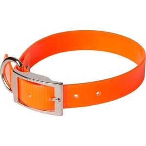 SunGlo Buckle Dog Collar,  1" Wide, Orange, Fits 20.5"- 24" Neck Sizes, Hunting